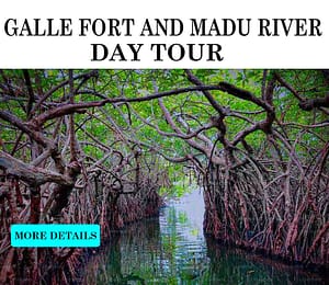 Madu river safari